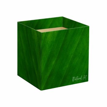 Cachepot Quadrado Natural Art 14,5cmx14,5cmx15,5cm 10pc Verde Folha