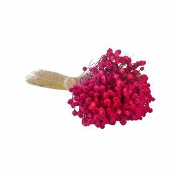 Desidratado Jazida 1 Maço Pink