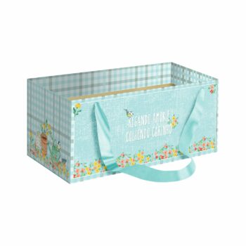 Caixa Kit Regando Amor C/Alça Cetim 20cmx12cmx10cm 1pç Cristal