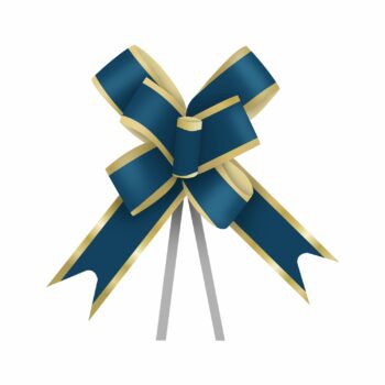 Laço Maxi 03D 24mmx50cm 10pc Azul Marinho/Ouro