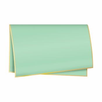 Poli 500 Acetinado Coreano Duo Classic 56cmx56cm 20fls Verde