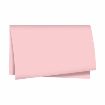 Poli 400 Acetinado Coreano Liso 58cmx58cm 20fls Rosa Pétala